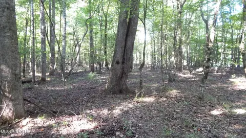 515 County Road 247 Country Rd, Bruce, MS 38915 photo 6