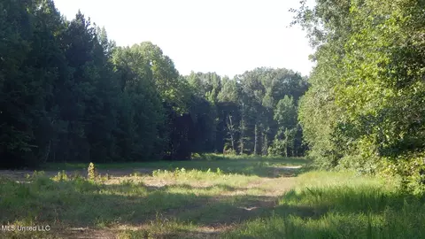 515 County Road 247 Country Rd, Bruce, MS 38915 photo 12