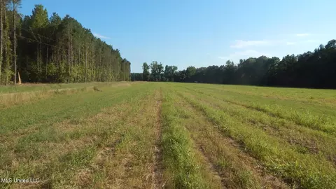 515 County Road 247 Country Rd, Bruce, MS 38915 photo 15