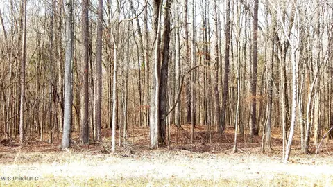 515 County Road 247 Country Rd, Bruce, MS 38915 photo 36