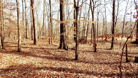 515 County Road 247 Country Rd, Bruce, MS 38915 photo 33