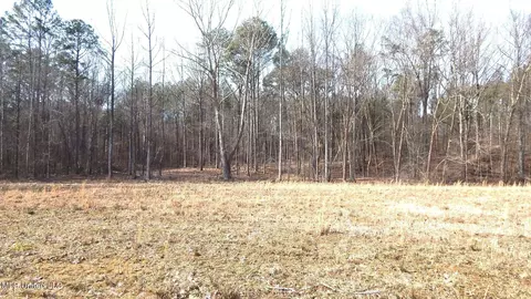 515 County Road 247 Country Rd, Bruce, MS 38915 photo 42