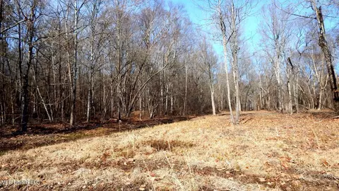515 County Road 247 Country Rd, Bruce, MS 38915 photo 51