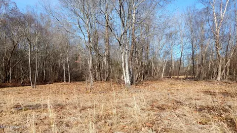 515 County Road 247 Country Rd, Bruce, MS 38915 photo 52