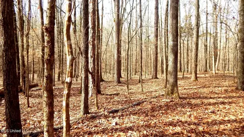 515 County Road 247 Country Rd, Bruce, MS 38915 photo 38