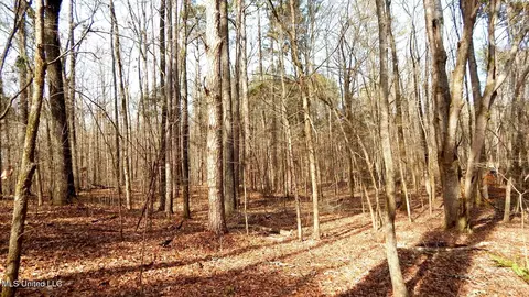 515 County Road 247 Country Rd, Bruce, MS 38915 photo 41