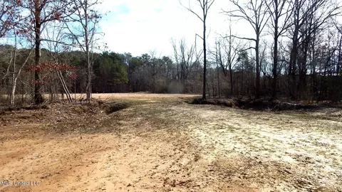 515 County Road 247 Country Rd, Bruce, MS 38915 photo 34