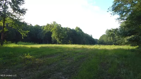 515 County Road 247 Country Rd, Bruce, MS 38915 photo 18