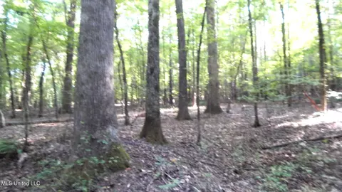 515 County Road 247 Country Rd, Bruce, MS 38915 photo 11