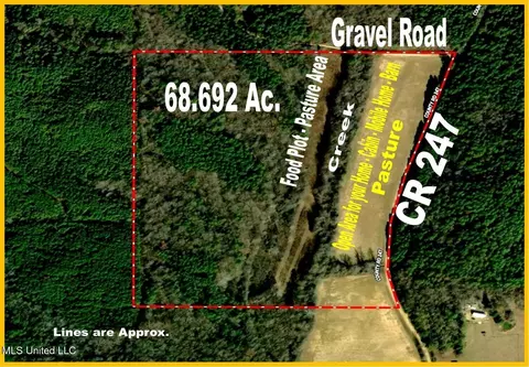 515 County Road 247 Country Rd, Bruce, MS 38915 photo 2