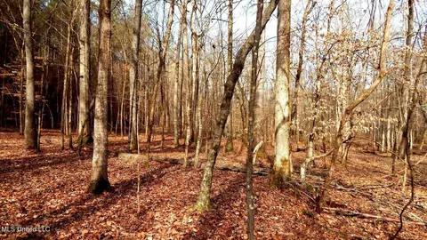 515 County Road 247 Country Rd, Bruce, MS 38915 photo 28