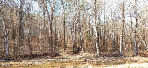 515 County Road 247 Country Rd, Bruce, MS 38915 photo 50