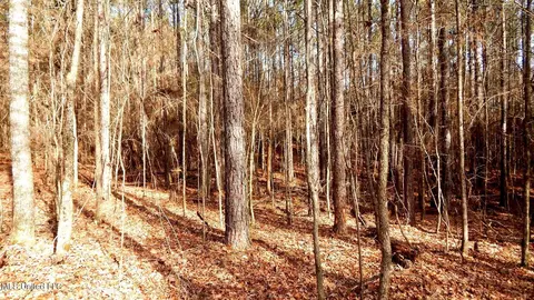 515 County Road 247 Country Rd, Bruce, MS 38915 photo 32