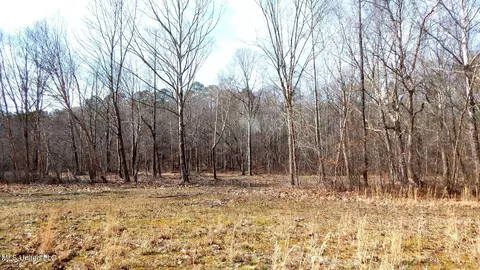 515 County Road 247 Country Rd, Bruce, MS 38915 photo 35