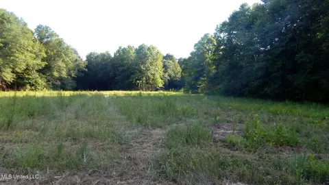 515 County Road 247 Country Rd, Bruce, MS 38915 photo 17