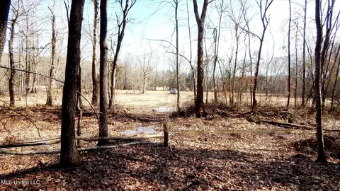 515 County Road 247 Country Rd, Bruce, MS 38915 photo 44