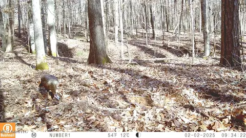 515 County Road 247 Country Rd, Bruce, MS 38915 photo 22