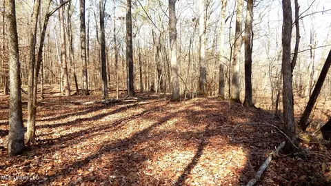 515 County Road 247 Country Rd, Bruce, MS 38915 photo 43