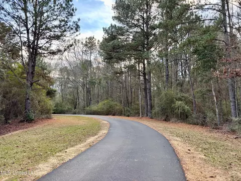 Other - 1614 Hwy 583, Jayess, MS 39641 photo 1 of 13