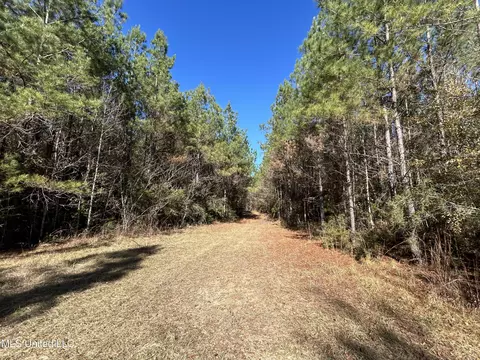 . Dwain Road, Magnolia, MS 39652