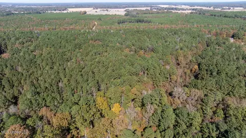 J C Prestage Road, Pelahatchie, MS 39145