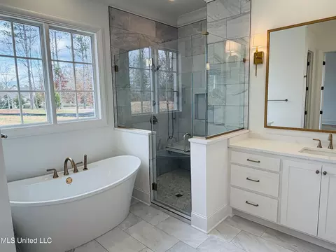 Bath - 105 Commonwealth Dr, Madison, MS 39110 photo 1 of 3