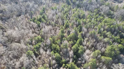 000 Ben Luckett Rd, Canton, MS 39046 photo 10