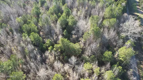 000 Ben Luckett Rd, Canton, MS 39046 photo 9