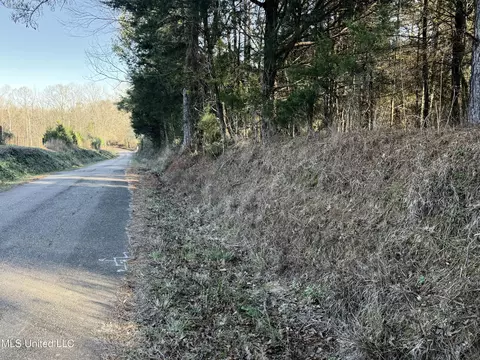 000 Ben Luckett Rd, Canton, MS 39046 photo 7