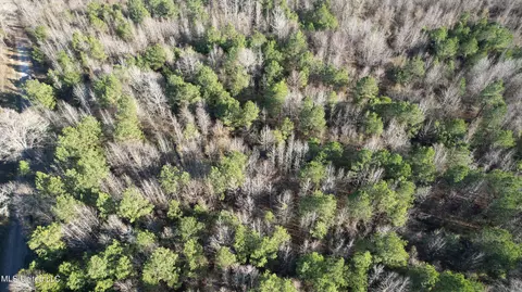 000 Ben Luckett Rd, Canton, MS 39046 photo 12