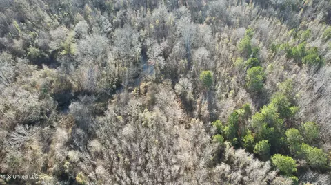 000 Ben Luckett Rd, Canton, MS 39046 photo 11