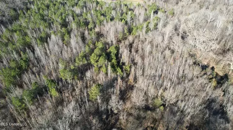 000 Ben Luckett Rd, Canton, MS 39046 photo 13