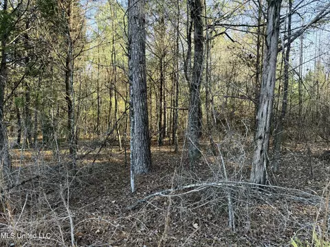 000 Ben Luckett Rd, Canton, MS 39046 photo 4