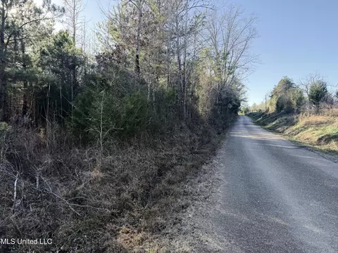 000 Ben Luckett Rd, Canton, MS 39046