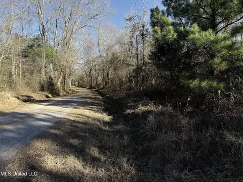 000 Ben Luckett Rd, Canton, MS 39046 photo 2