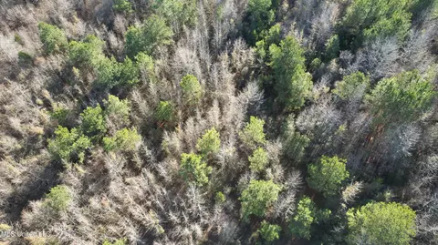 000 Ben Luckett Rd, Canton, MS 39046 photo 8