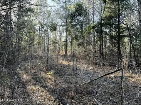 000 Ben Luckett Rd, Canton, MS 39046 photo 5