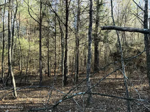 000 Ben Luckett Rd, Canton, MS 39046 photo 6