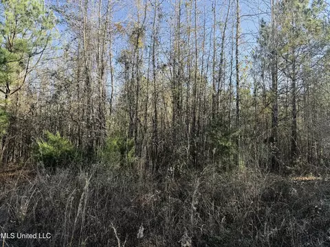 000 Ben Luckett Rd, Canton, MS 39046 photo 3