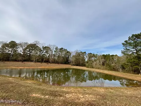 View/Area - 299 Robert Tynes Rd, Monticello, MS 39654 photo 1 of 3