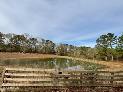 View/Area - 299 Robert Tynes Rd, Monticello, MS 39654 photo 3 of 3