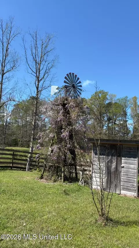 Exterior - 299 Robert Tynes Rd, Monticello, MS 39654 photo 6 of 6