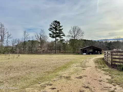 Exterior - 299 Robert Tynes Rd, Monticello, MS 39654 photo 3 of 6