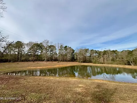 View/Area - 299 Robert Tynes Rd, Monticello, MS 39654 photo 2 of 3