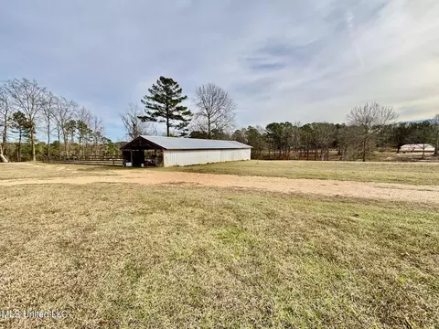 Other - 299 Robert Tynes Rd, Monticello, MS 39654 photo 6 of 9