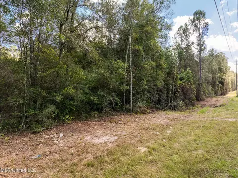Old Hwy 49, Saucier, MS 39574 photo 9