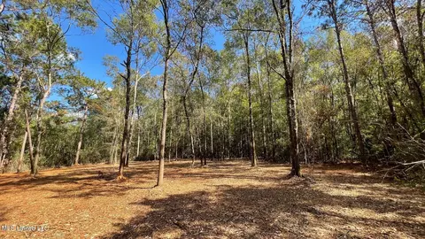 Old Hwy 49, Saucier, MS 39574 photo 6