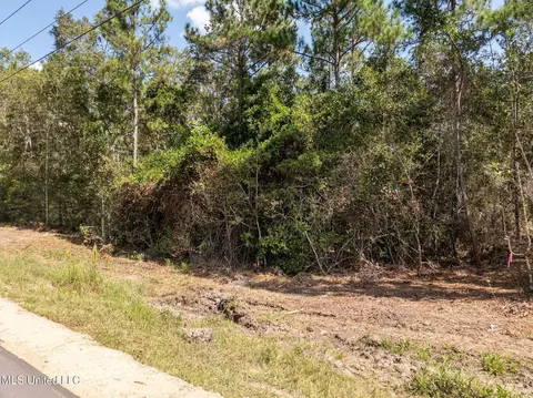 Old Hwy 49, Saucier, MS 39574 photo 10