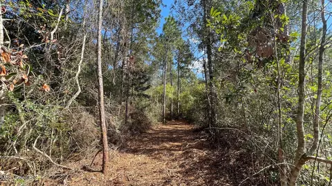 Old Hwy 49, Saucier, MS 39574 photo 7