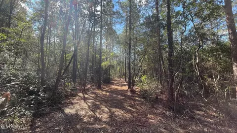 Old Hwy 49, Saucier, MS 39574 photo 8